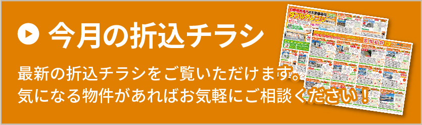 今月の折込チラシ