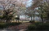 公園・運動施設