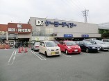 ホームセンター