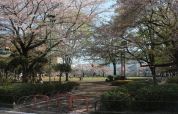 旭が丘中央公園