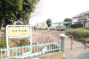 ハケ下公園
