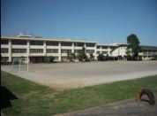 八王子市立第十小学校