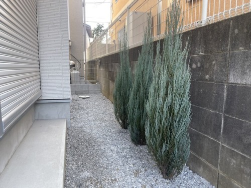 お客様写真 Vol.340