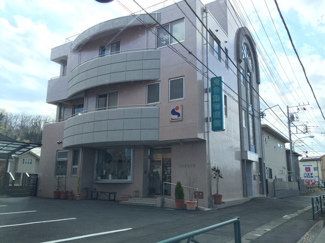 渋谷動物病院の施設情報 八王子市の病院 日野市の専門不動産会社 新築一戸建て 建売ならダブルオレンジへ